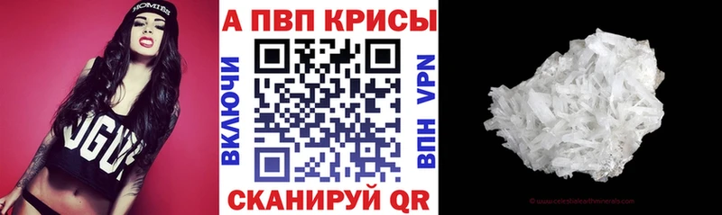 APVP СК КРИС  Бородино 