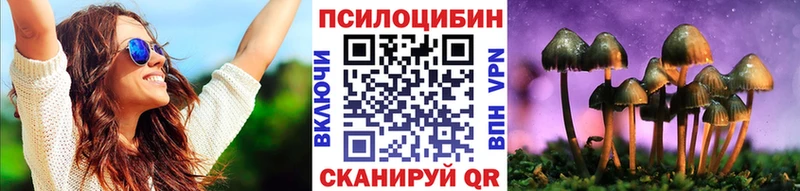Галлюциногенные грибы прущие грибы  Бородино 